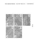 Cellulose and Cellulosic Substrate-Based Device diagram and image