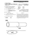 INJECTABLE MAGNETIC MICROBEADS FOR EN BLOC TISSUE RESECTION diagram and image