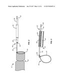 MULTI-ACCESS INTRAPROCEDURAL EMBOLIC PROTECTION DEVICE diagram and image