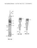 MULTI-ACCESS INTRAPROCEDURAL EMBOLIC PROTECTION DEVICE diagram and image