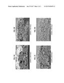 DEVICES AND METHODS FOR ENDOTHELIALIZATION OF MAGNETIC VASCULAR GRAFTS diagram and image