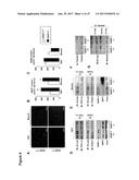 METHODS OF TREATING MITOCHONDRIAL DYSFUNCTION diagram and image