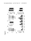 METHODS OF TREATING MITOCHONDRIAL DYSFUNCTION diagram and image