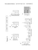 METHODS OF TREATING MITOCHONDRIAL DYSFUNCTION diagram and image