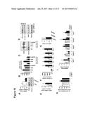 METHODS OF TREATING MITOCHONDRIAL DYSFUNCTION diagram and image