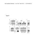 METHODS OF TREATING MITOCHONDRIAL DYSFUNCTION diagram and image