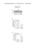 METHODS OF TREATING MITOCHONDRIAL DYSFUNCTION diagram and image