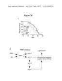 METHODS OF TREATING MITOCHONDRIAL DYSFUNCTION diagram and image