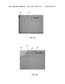 PAGOPHOBIC COATING COMPOSITIONS, METHOD OF MANUFACTURE AND METHODS OF USE diagram and image