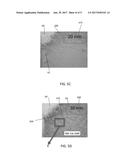 PAGOPHOBIC COATING COMPOSITIONS, METHOD OF MANUFACTURE AND METHODS OF USE diagram and image