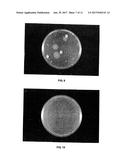 ANTIBACTERIAL WATER-PRESERVING CONTAINER AND METHOD OF MANUFACTURING THE     SAME diagram and image