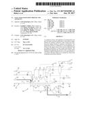 Coal Char Passivation Process And Apparatus diagram and image