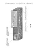 SYSTEMS AND METHODS FOR BIOMIMETIC FLUID PROCESSING diagram and image