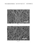 BIOPAPERS AS A SUBSTRATE FOR TISSUE CULTURE diagram and image