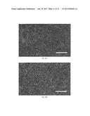 BIOPAPERS AS A SUBSTRATE FOR TISSUE CULTURE diagram and image