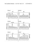 PREPRIMITIVE STREAK AND MESENDODERM CELLS diagram and image