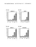 PREPRIMITIVE STREAK AND MESENDODERM CELLS diagram and image