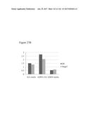 DIFFERENTIATION OF PLURIPOTENT STEM CELLS diagram and image