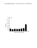 DIFFERENTIATION OF PLURIPOTENT STEM CELLS diagram and image