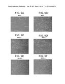 DEFINED MEDIA FOR EXPANSION AND MAINTENANCE OF PLURIPOTENT STEM CELLS diagram and image