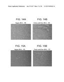 DEFINED MEDIA FOR EXPANSION AND MAINTENANCE OF PLURIPOTENT STEM CELLS diagram and image