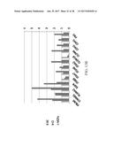 NOVEL METHODS AND CULTURE MEDIA FOR CULTURING PLURIPOTENT STEM CELLS diagram and image