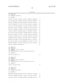 NOVEL METHODS AND CULTURE MEDIA FOR CULTURING PLURIPOTENT STEM CELLS diagram and image