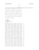 NOVEL METHODS AND CULTURE MEDIA FOR CULTURING PLURIPOTENT STEM CELLS diagram and image