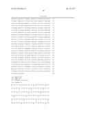 NOVEL METHODS AND CULTURE MEDIA FOR CULTURING PLURIPOTENT STEM CELLS diagram and image