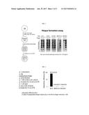 TUNING BACTERIOPHAGE HOST RANGE diagram and image