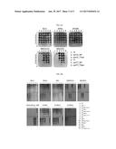 TUNING BACTERIOPHAGE HOST RANGE diagram and image