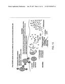 IN VITRO RECONSTITUTED PLANT VIRUS CAPSIDS FOR DELIVERING RNA GENES TO     MAMMALIAN CELLS diagram and image