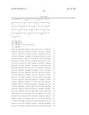 SPLIT RECOMBINANT LUCIFERASE, AND ANALYSIS METHOD USING THEREOF diagram and image