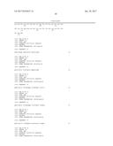 SPLIT RECOMBINANT LUCIFERASE, AND ANALYSIS METHOD USING THEREOF diagram and image