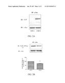 CARDIOTONIC STEROID ANTAGONISTS AND RELATED METHODS diagram and image