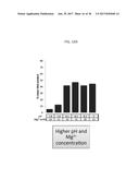 REF NUCLEASE FOR SITE SPECIFIC REF-MEDIATED DNA CLEAVAGE diagram and image