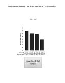 REF NUCLEASE FOR SITE SPECIFIC REF-MEDIATED DNA CLEAVAGE diagram and image