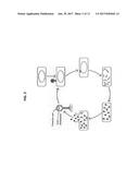 PAENIBACILLUS LARVAE TREATMENT WITH PHAGE LYSIN FOR AMERICAN FOULBROOD     DISEASE diagram and image