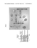 PAENIBACILLUS LARVAE TREATMENT WITH PHAGE LYSIN FOR AMERICAN FOULBROOD     DISEASE diagram and image