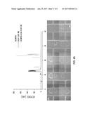 DRUG COCKTAIL ANALYSES USING MICROSCALE VORTEX ASSISTED ELECTROPORATION diagram and image