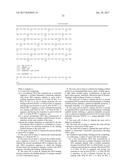 COMPOSITION AND METHOD FOR DIVERSIFYING POLYPEPTIDE LIBRARIES diagram and image