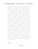 METHOD FOR RAPIDLY SCREENING MICROBIAL HOSTS TO IDENTIFY CERTAIN STRAINS     WITH IMPROVED YIELD AND/OR QUALITY IN THE EXPRESSION OF HETEROLOGOUS     PROTEINS diagram and image