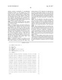 METHOD FOR IDENTIFYING A SUBPOPULATION OF MAMMALIAN CELLS WITH DISTINCTIVE     RIBOSOME TRANSLATION PROFILES diagram and image