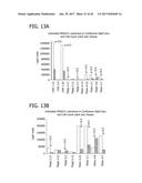 METHOD FOR IDENTIFYING A SUBPOPULATION OF MAMMALIAN CELLS WITH DISTINCTIVE     RIBOSOME TRANSLATION PROFILES diagram and image