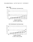 METHOD FOR IDENTIFYING A SUBPOPULATION OF MAMMALIAN CELLS WITH DISTINCTIVE     RIBOSOME TRANSLATION PROFILES diagram and image