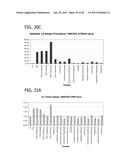 METHOD FOR IDENTIFYING A SUBPOPULATION OF MAMMALIAN CELLS WITH DISTINCTIVE     RIBOSOME TRANSLATION PROFILES diagram and image