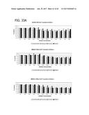 METHOD FOR IDENTIFYING A SUBPOPULATION OF MAMMALIAN CELLS WITH DISTINCTIVE     RIBOSOME TRANSLATION PROFILES diagram and image