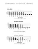 METHOD FOR IDENTIFYING A SUBPOPULATION OF MAMMALIAN CELLS WITH DISTINCTIVE     RIBOSOME TRANSLATION PROFILES diagram and image