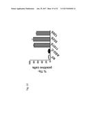 PHARMACEUTICAL COMPOSITIONS COMPRISING RNA AND USE FOR TREATING CANCER diagram and image