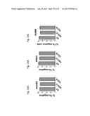 PHARMACEUTICAL COMPOSITIONS COMPRISING RNA AND USE FOR TREATING CANCER diagram and image